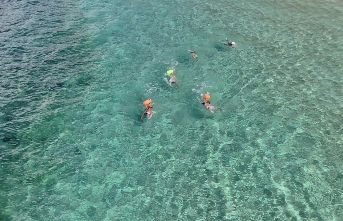 Swimmers gliding above seagrass in clear ocean water in Bali